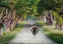 do unique photo manipulation or editing and blend image in adobe software